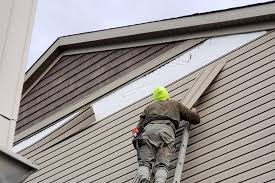 Best Storm Damage Siding Repair  in Toro Nyon, CA